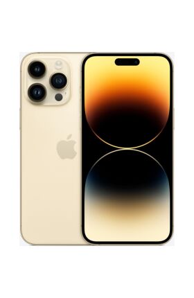 14 Pro Gold Gs 1200x1200 1