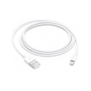 Apple Lightning to USB Cable